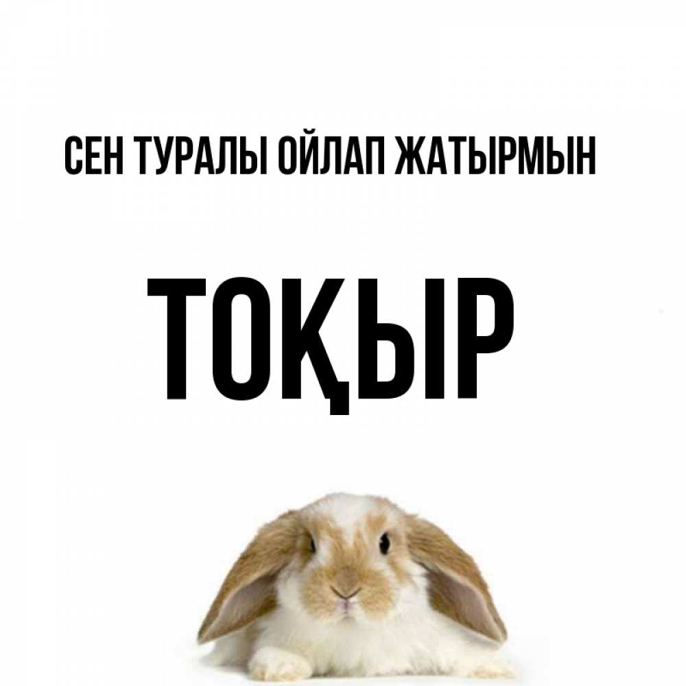Күн сайын ашық хат с именем, ТОҚЫР Сен туралы ойлап жатырмын подписать своими руками онлайн Онлайн тегін жүктеп алу тілектері бар керемет карта 