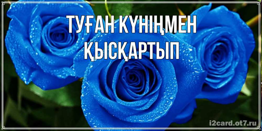 Күн сайын ашық хат с именем, Қысқартып Туған күніңмен розы с синим цветом Онлайн тегін жүктеп алу тілектері бар керемет карта 