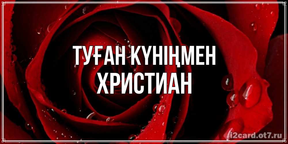 Күн сайын ашық хат с именем, Христиан Туған күніңмен крупная бордовая роза Онлайн тегін жүктеп алу тілектері бар керемет карта 