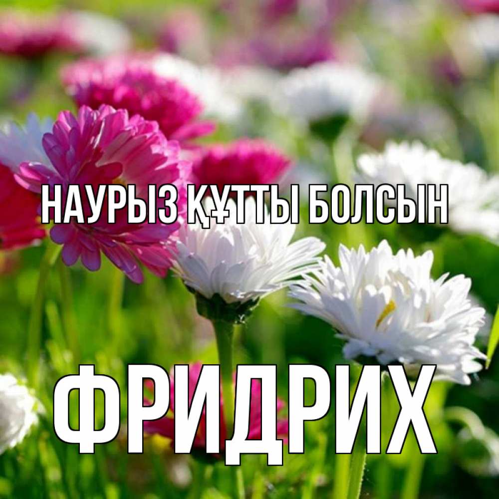 Күн сайын ашық хат с именем, Фридрих Наурыз құтты болсын наурыз Онлайн тегін жүктеп алу тілектері бар керемет карта 