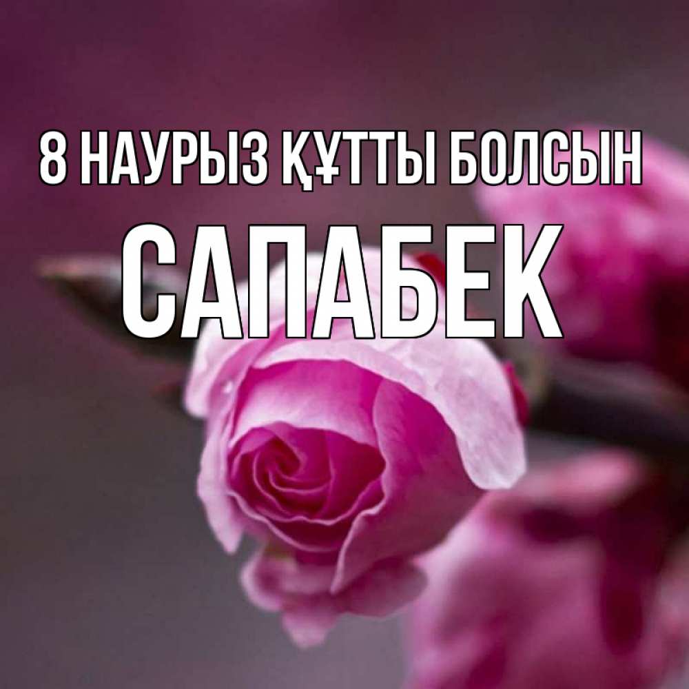 Күн сайын ашық хат с именем, САПАБЕК 8 наурыз құтты болсын весна Онлайн тегін жүктеп алу тілектері бар керемет карта 