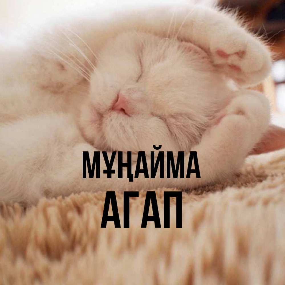 Күн сайын ашық хат с именем, Агап Мұңайма Котенок спит Онлайн тегін жүктеп алу тілектері бар керемет карта 