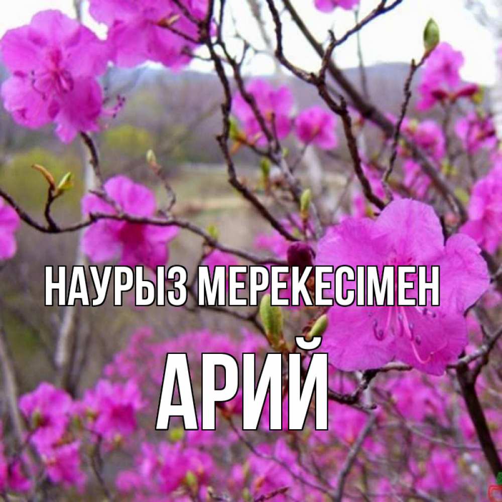 Күн сайын ашық хат с именем, Арий Наурыз мерекесімен праздник весны наурыз Онлайн тегін жүктеп алу тілектері бар керемет карта 