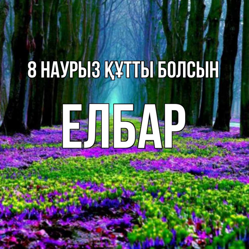 Күн сайын ашық хат с именем, Елбар 8 наурыз құтты болсын фиолетовые цветы в лесу 1 Онлайн тегін жүктеп алу тілектері бар керемет карта 