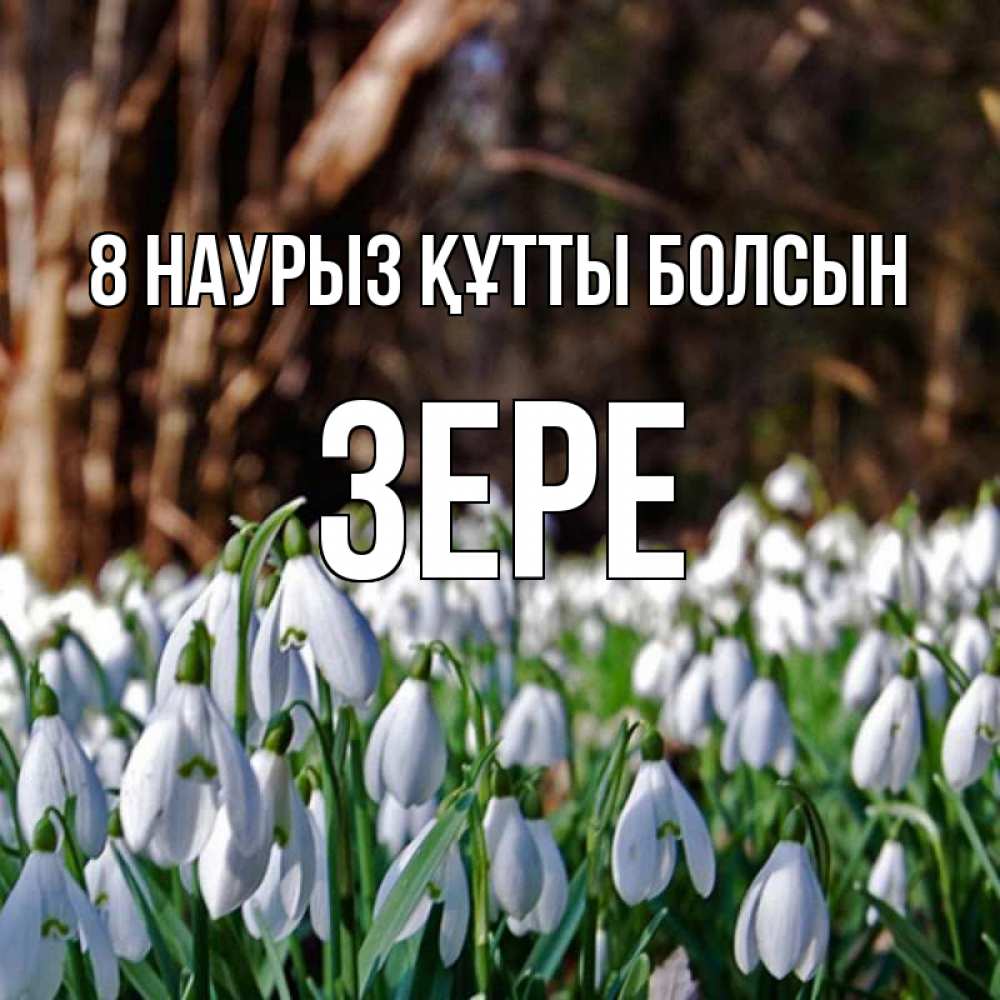 Күн сайын ашық хат с именем, ЗЕРЕ 8 наурыз құтты болсын с подснежниками 1 Онлайн тегін жүктеп алу тілектері бар керемет карта 