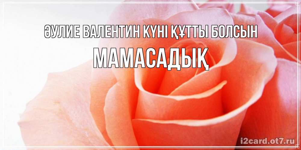 Күн сайын ашық хат с именем, МАМАСАДЫҚ Әулие Валентин күні құтты болсын открытка на день Святого Валентина с розовой розой Онлайн тегін жүктеп алу тілектері бар керемет карта 