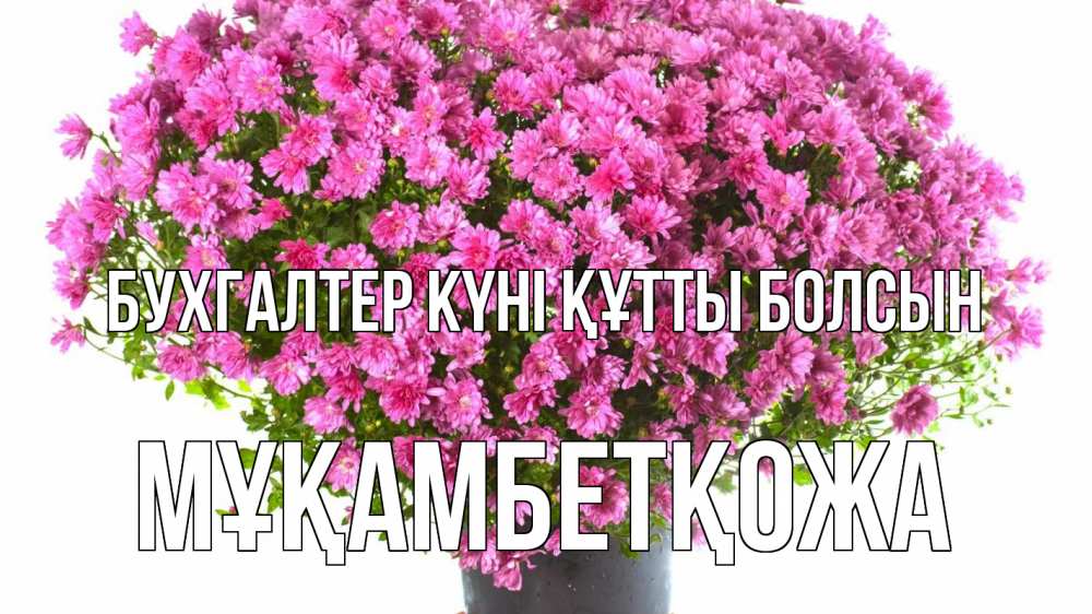 Күн сайын ашық хат с именем, Мұқамбетқожа бухгалтер күні құтты болсын с днем бухгалтера Онлайн тегін жүктеп алу тілектері бар керемет карта 