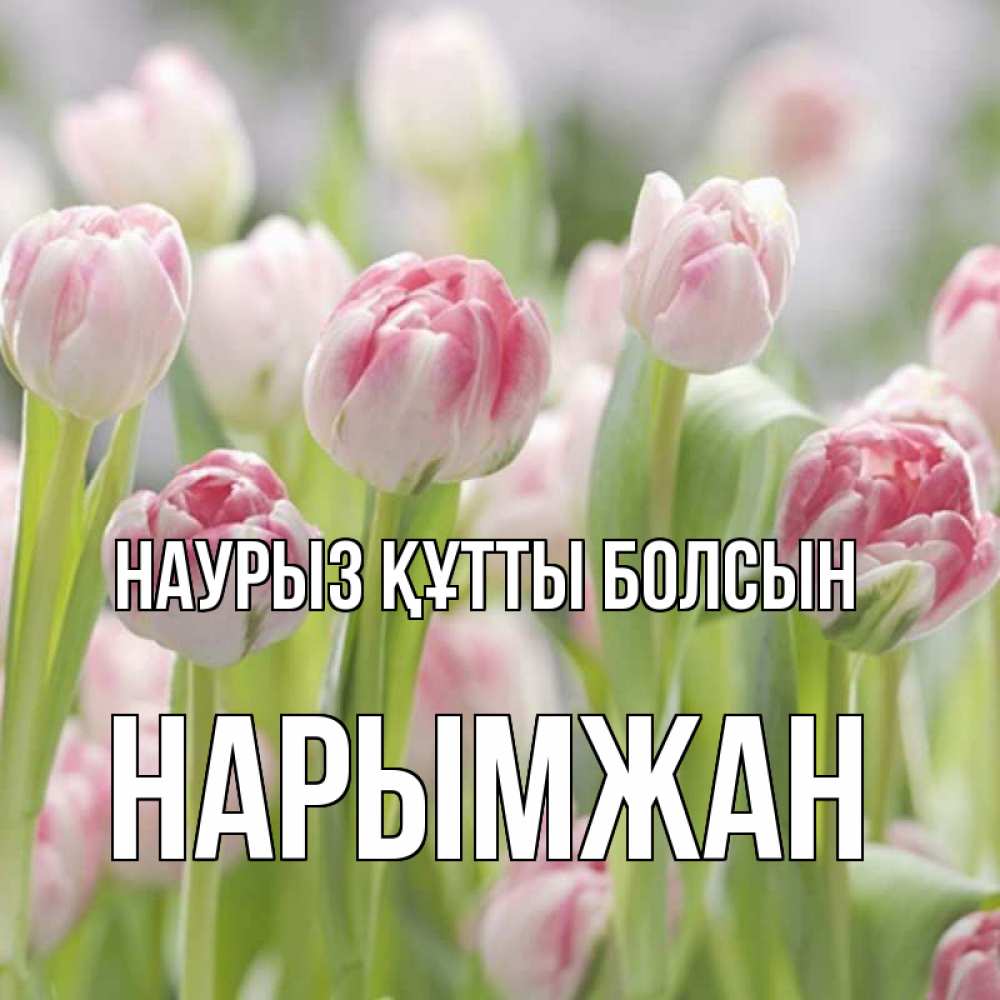 Күн сайын ашық хат с именем, НАРЫМЖАН Наурыз құтты болсын цветы Онлайн тегін жүктеп алу тілектері бар керемет карта 