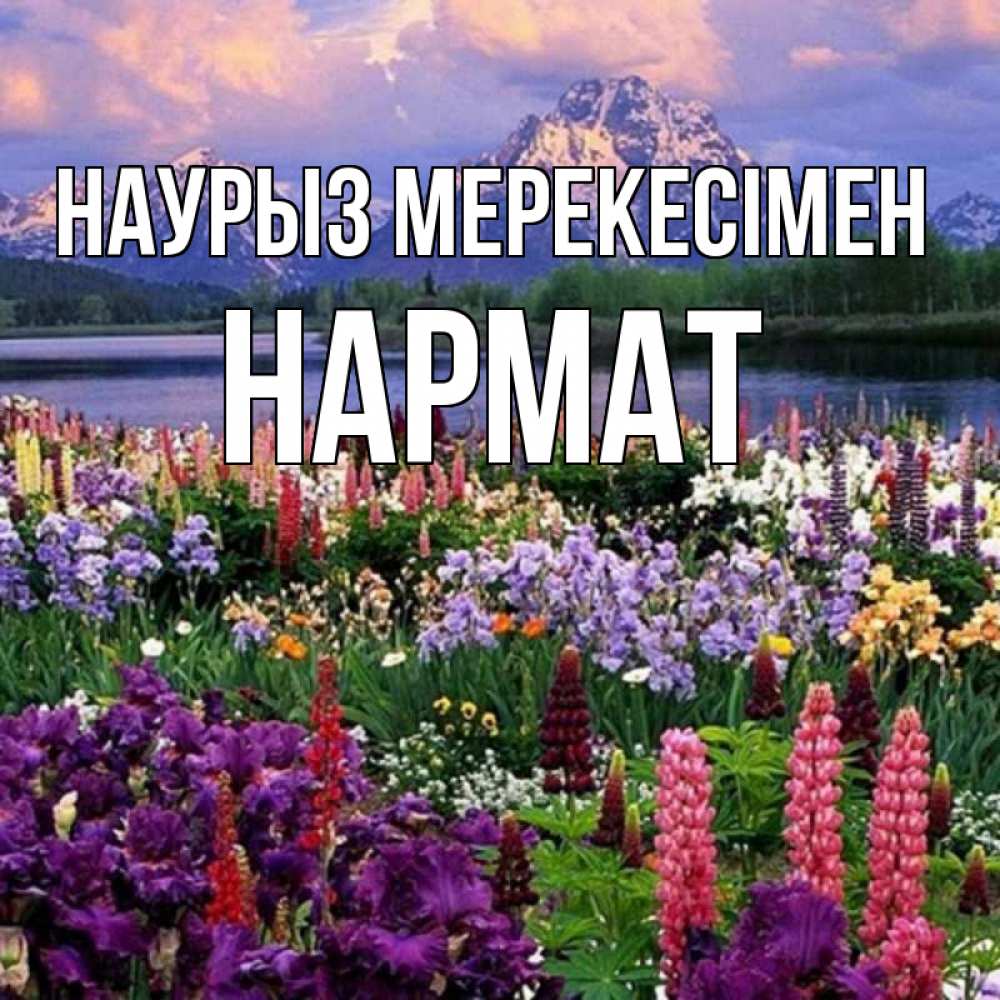 Күн сайын ашық хат с именем, Нармат Наурыз мерекесімен праздник весны наурыз Онлайн тегін жүктеп алу тілектері бар керемет карта 