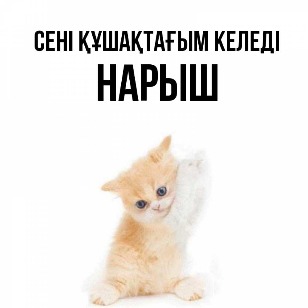 Күн сайын ашық хат с именем, Нарыш сені құшақтағым келеді я хочу очень скорее обнимаешек Онлайн тегін жүктеп алу тілектері бар керемет карта 