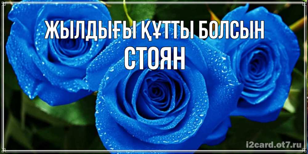 Күн сайын ашық хат с именем, Стоян Жылдығы құтты болсын розы с синим цветом Онлайн тегін жүктеп алу тілектері бар керемет карта 