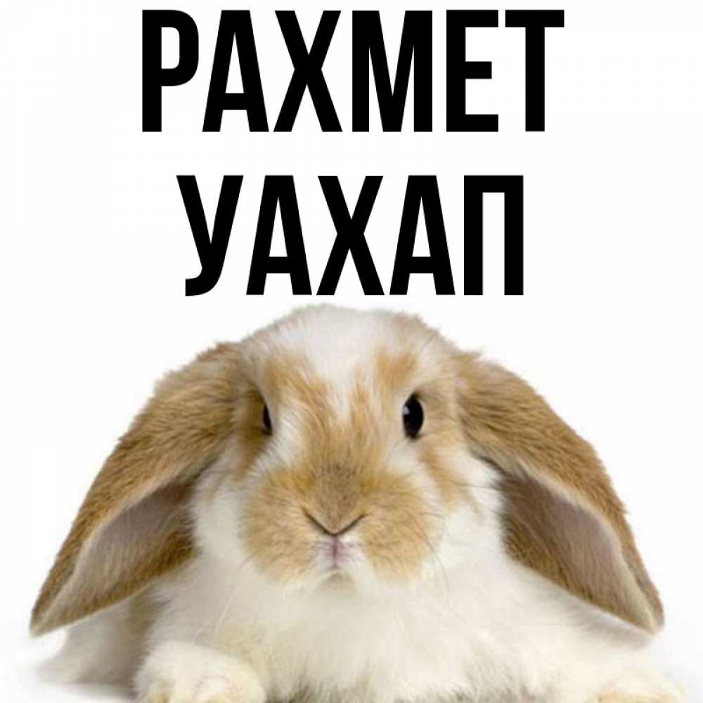Күн сайын ашық хат с именем, УАХАП рахмет коричнево белый заяц Онлайн тегін жүктеп алу тілектері бар керемет карта 