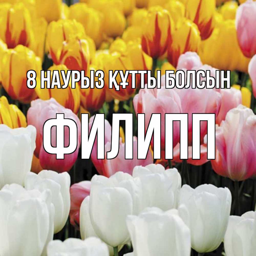 Күн сайын ашық хат с именем, Филипп 8 наурыз құтты болсын разноцветные цветы Онлайн тегін жүктеп алу тілектері бар керемет карта 