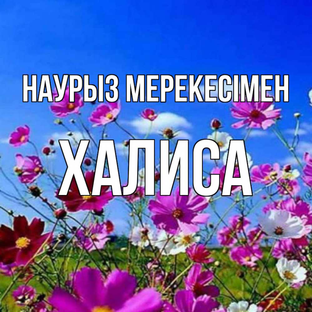 Күн сайын ашық хат с именем, ХАЛИСА Наурыз мерекесімен цветы Онлайн тегін жүктеп алу тілектері бар керемет карта 
