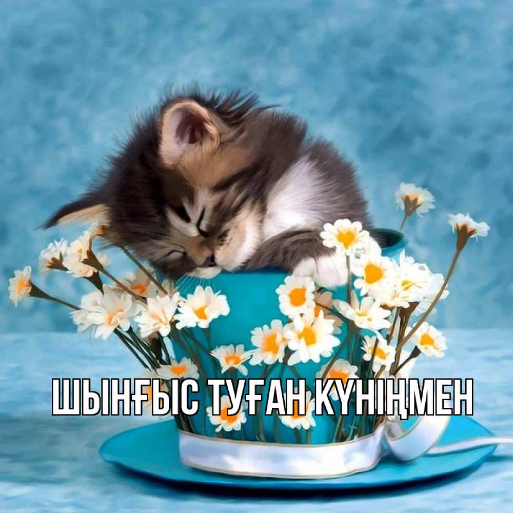 Картинка  с именем , ШЫНҒЫС! ТУҒАН КҮНІҢМЕН!
