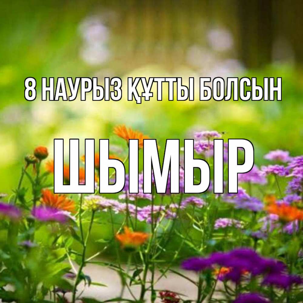 Күн сайын ашық хат с именем, ШЫМЫР 8 наурыз құтты болсын цветы Онлайн тегін жүктеп алу тілектері бар керемет карта 