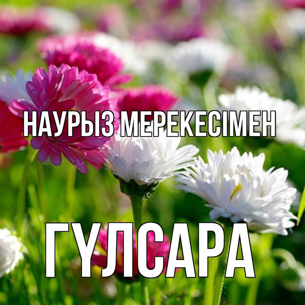 Күн сайын ашық хат с именем, ГҮЛСАРА Наурыз мерекесімен праздник весны наурыз красота Онлайн тегін жүктеп алу тілектері бар керемет карта 