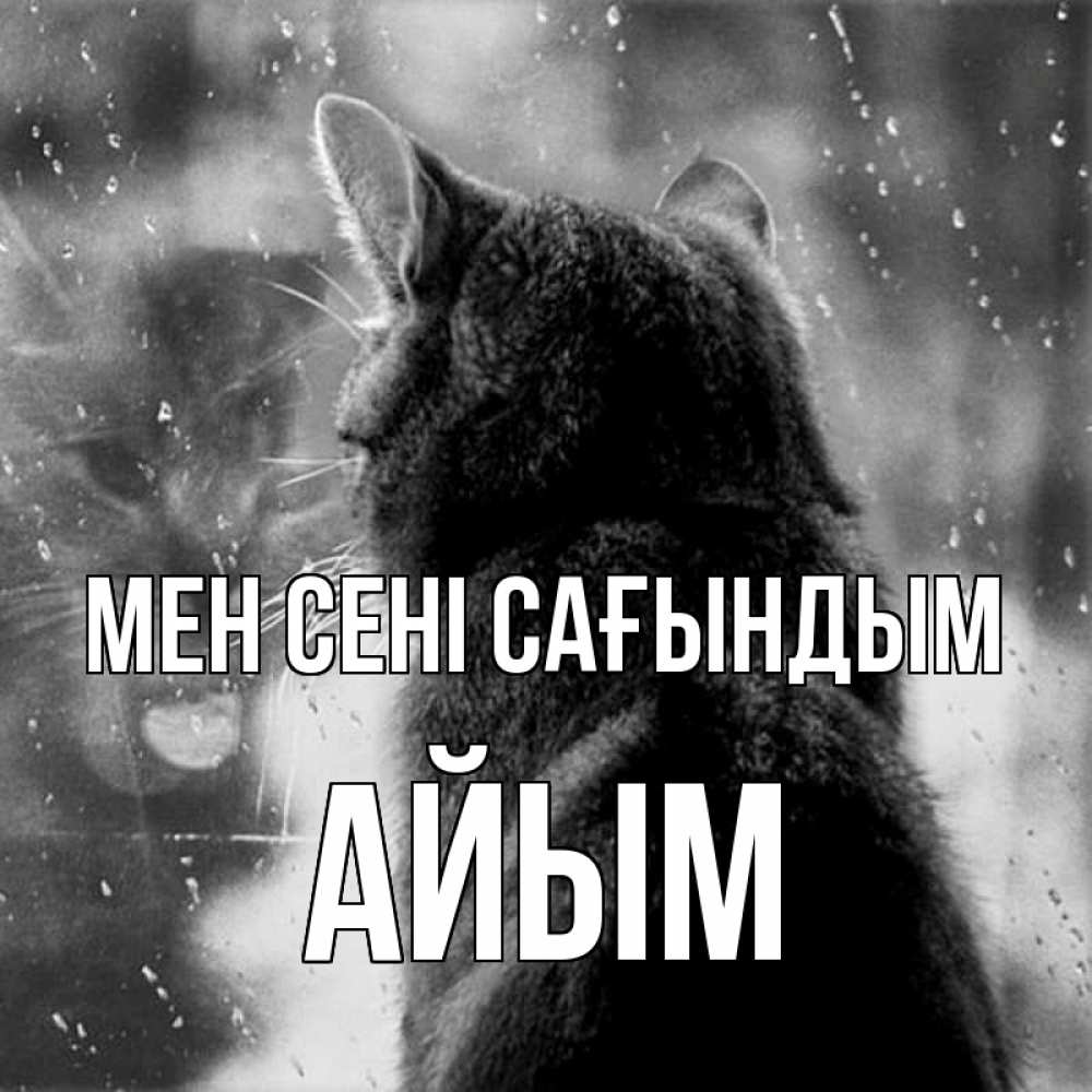 Күн сайын ашық хат с именем, АЙЫМ Мен сені сағындым скорее ко мне приходи 1 Онлайн тегін жүктеп алу тілектері бар керемет карта 