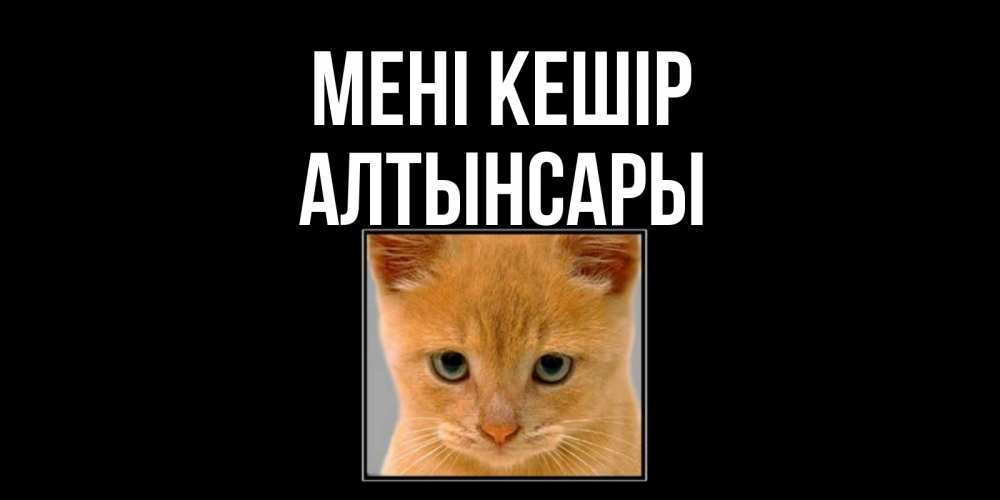Күн сайын ашық хат с именем, Алтынсары Мені кешір рыжий грустный кот просит прощения Онлайн тегін жүктеп алу тілектері бар керемет карта 
