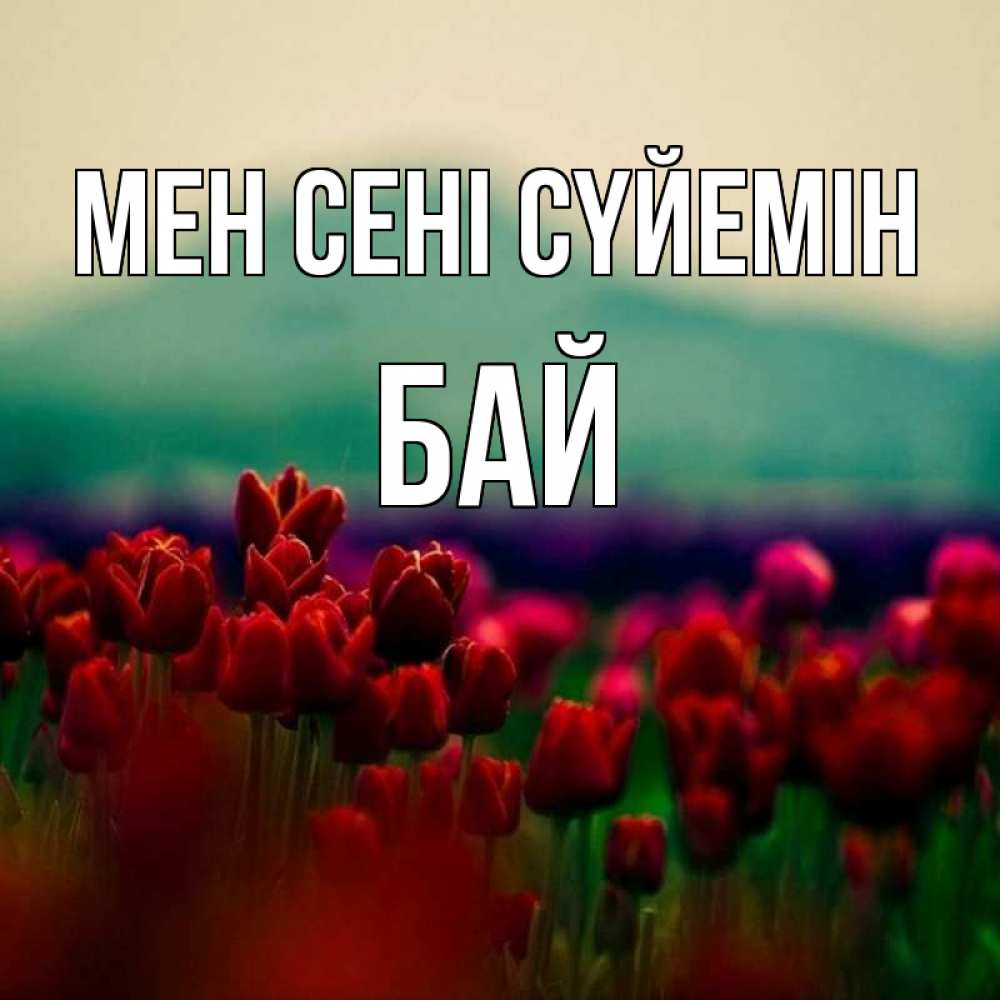 Күн сайын ашық хат с именем, Бай Мен сені сүйемін тюльпаны 4 Онлайн тегін жүктеп алу тілектері бар керемет карта 