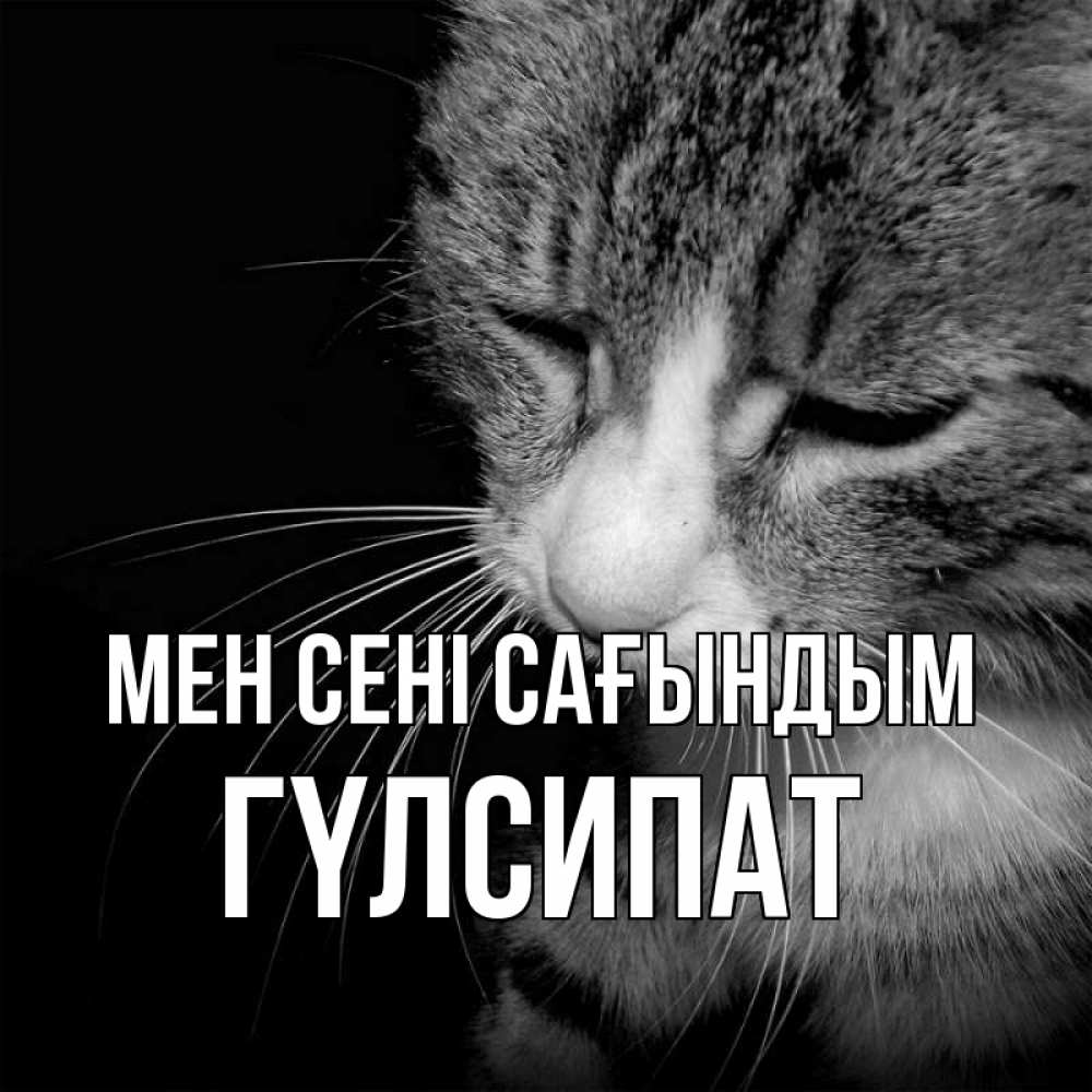 Күн сайын ашық хат с именем, ГҮЛСИПАТ Мен сені сағындым мне скучно Онлайн тегін жүктеп алу тілектері бар керемет карта 