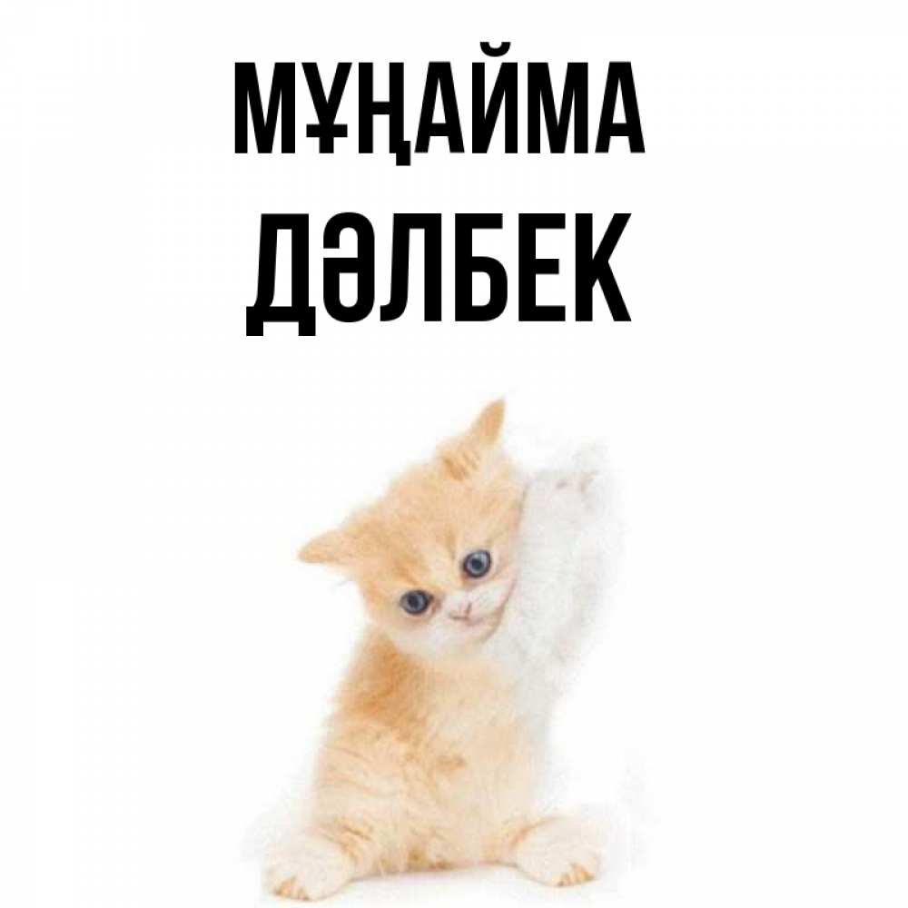 Күн сайын ашық хат с именем, Дәлбек Мұңайма просящий кот Онлайн тегін жүктеп алу тілектері бар керемет карта 