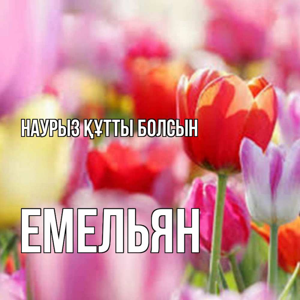 Күн сайын ашық хат с именем, Емельян Наурыз құтты болсын на наурыз  2 Онлайн тегін жүктеп алу тілектері бар керемет карта 