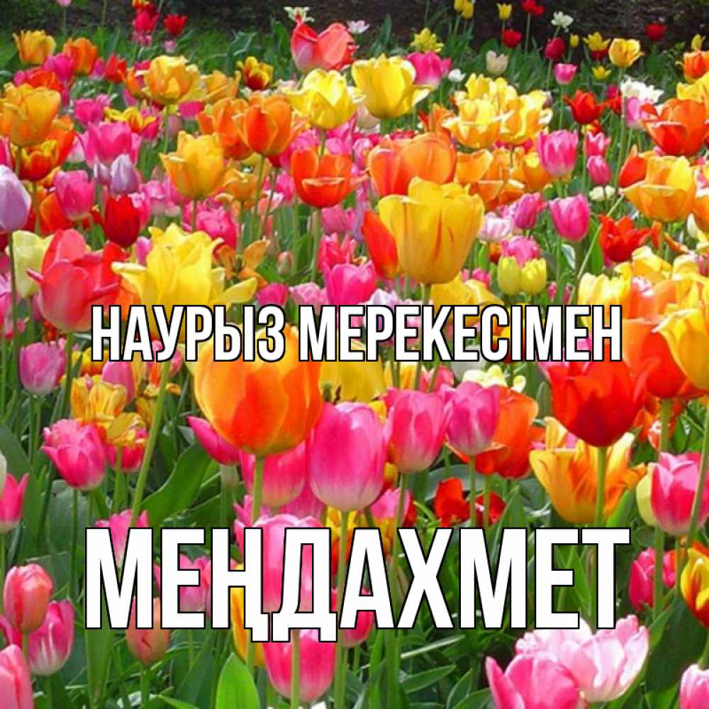 Күн сайын ашық хат с именем, МЕҢДАХМЕТ Наурыз мерекесімен праздник весны наурыз 4 Онлайн тегін жүктеп алу тілектері бар керемет карта 