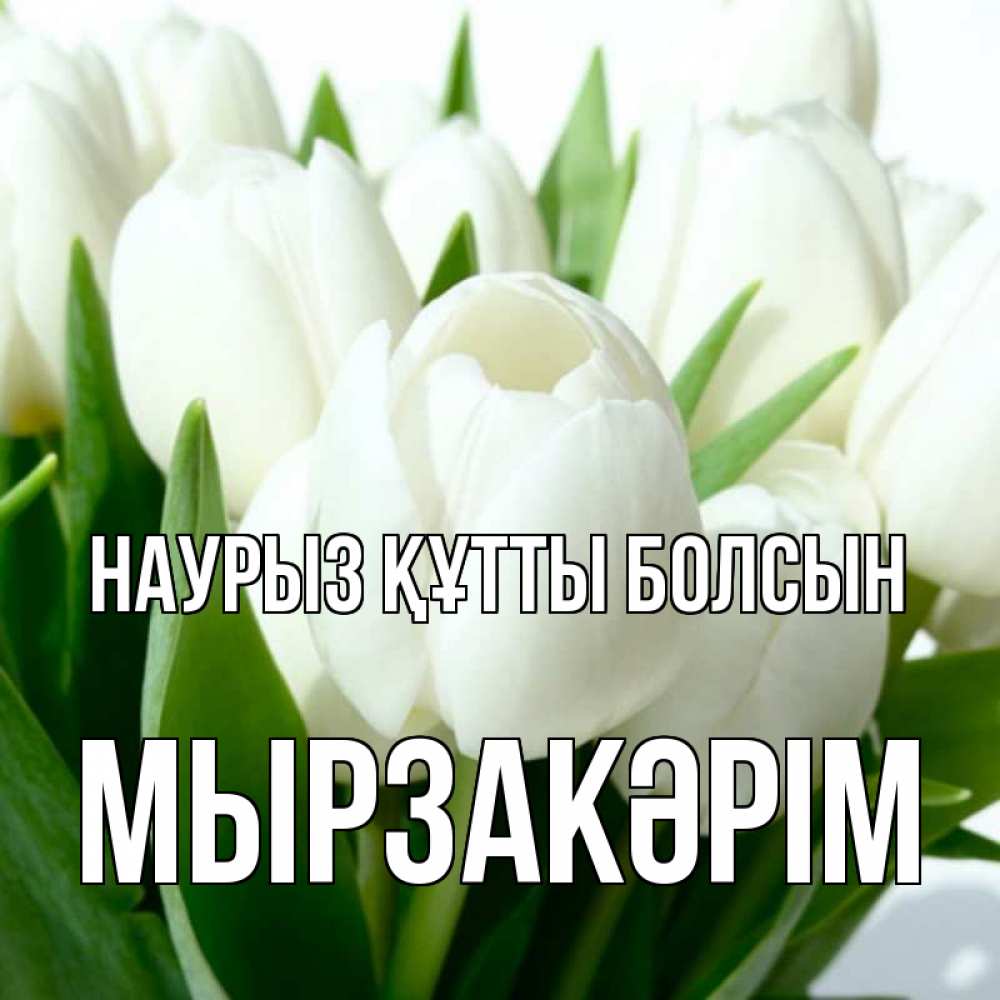 Күн сайын ашық хат с именем, Мырзакәрім Наурыз құтты болсын цветы Онлайн тегін жүктеп алу тілектері бар керемет карта 