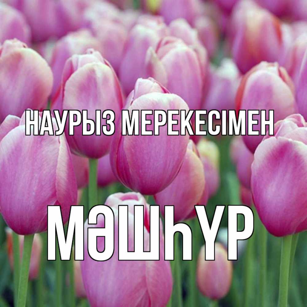 Күн сайын ашық хат с именем, МӘШҺҮР Наурыз мерекесімен праздник весны наурыз 69 Онлайн тегін жүктеп алу тілектері бар керемет карта 