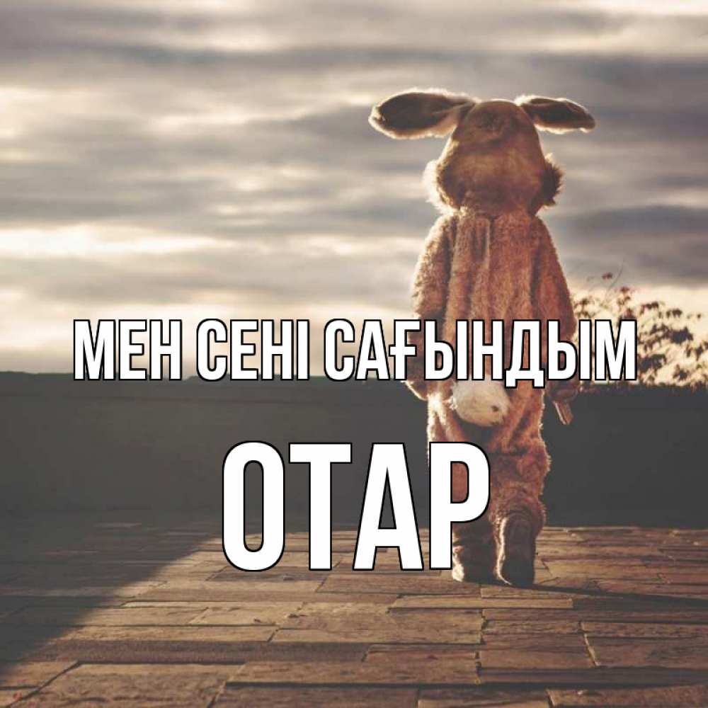 Күн сайын ашық хат с именем, ОТАР Мен сені сағындым даже в костюме зайца Онлайн тегін жүктеп алу тілектері бар керемет карта 