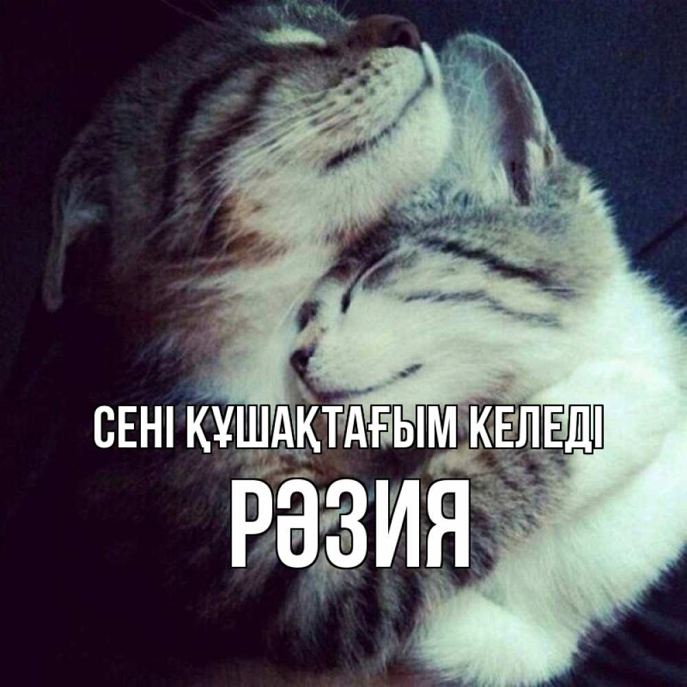 Күн сайын ашық хат с именем, РӘЗИЯ сені құшақтағым келеді полосатики Онлайн тегін жүктеп алу тілектері бар керемет карта 