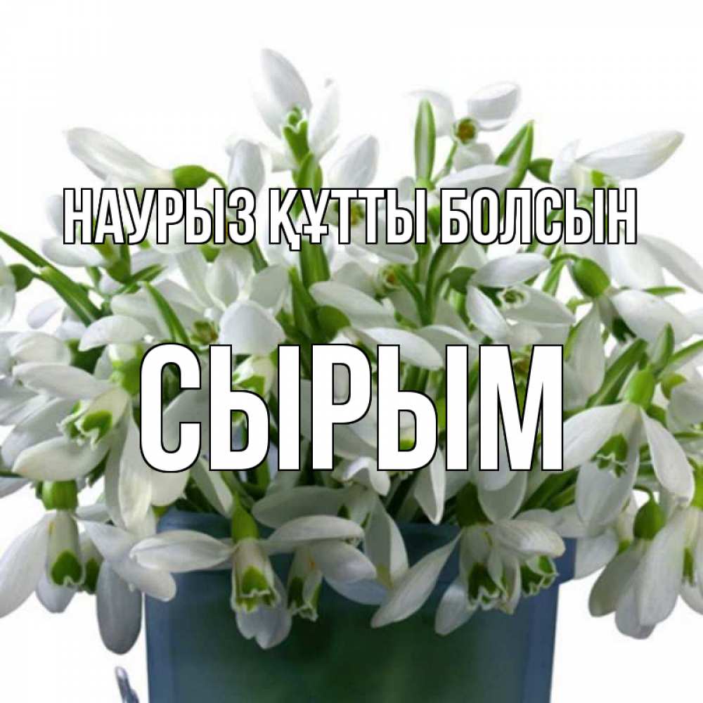 Күн сайын ашық хат с именем, СЫРЫМ Наурыз құтты болсын цветы к наурызу Онлайн тегін жүктеп алу тілектері бар керемет карта 