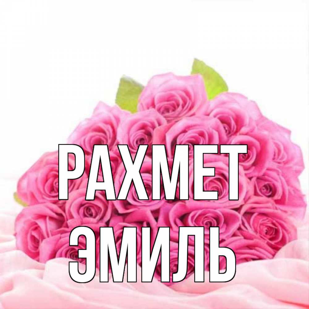 Күн сайын ашық хат с именем, Эмиль рахмет розовые розы с подписью Онлайн тегін жүктеп алу тілектері бар керемет карта 