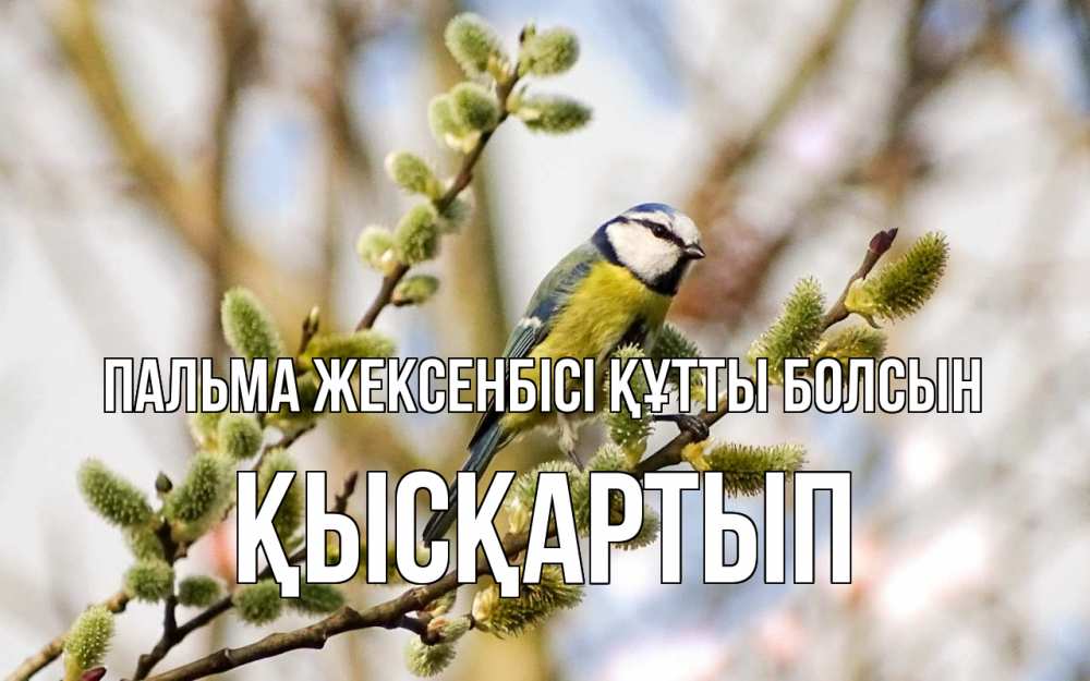 Күн сайын ашық хат с именем, Қысқартып Пальма жексенбісі құтты болсын верба Онлайн тегін жүктеп алу тілектері бар керемет карта 