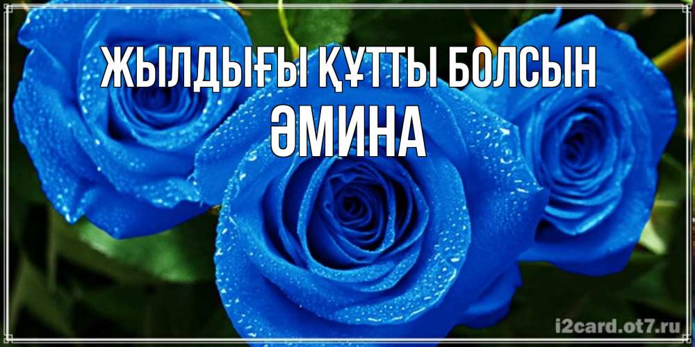 Күн сайын ашық хат с именем, ӘМИНА Жылдығы құтты болсын розы с синим цветом Онлайн тегін жүктеп алу тілектері бар керемет карта 