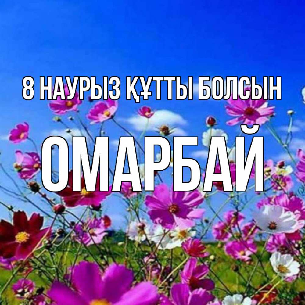 Күн сайын ашық хат с именем, ОМАРБАЙ 8 наурыз құтты болсын цветы Онлайн тегін жүктеп алу тілектері бар керемет карта 