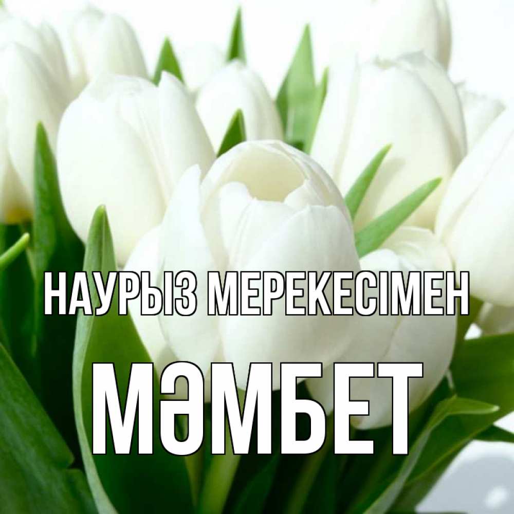 Күн сайын ашық хат с именем, МӘМБЕТ Наурыз мерекесімен цветы Онлайн тегін жүктеп алу тілектері бар керемет карта 
