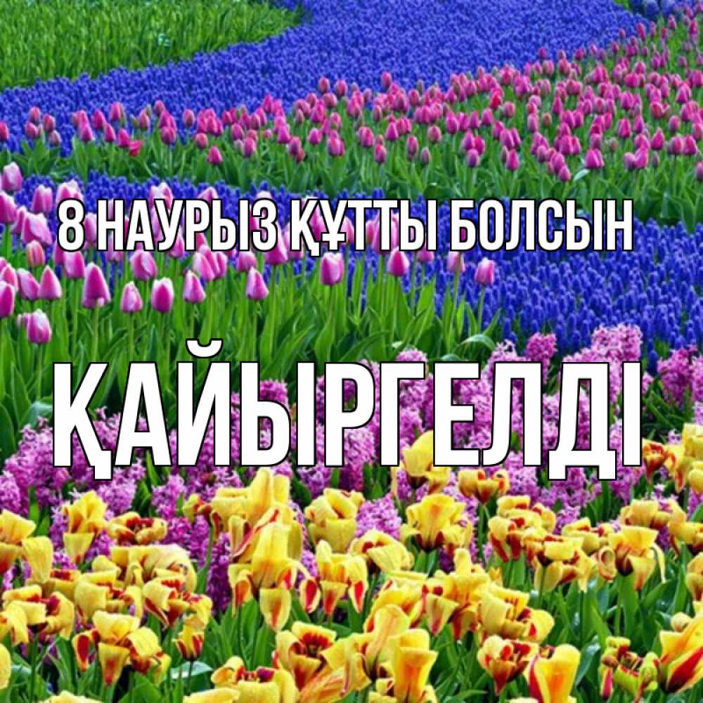 Күн сайын ашық хат с именем, Қайыргелді 8 наурыз құтты болсын цветы Онлайн тегін жүктеп алу тілектері бар керемет карта 