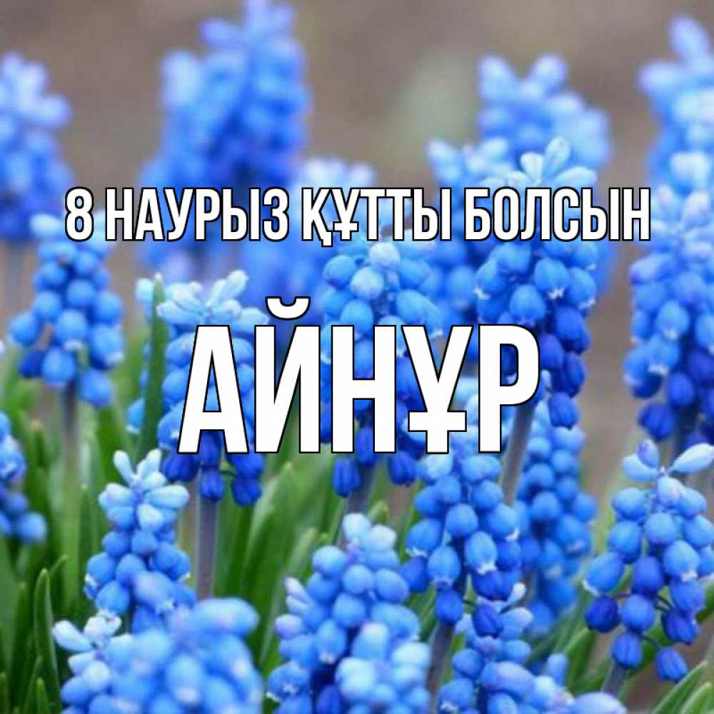 Күн сайын ашық хат с именем, АЙНҰР 8 наурыз құтты болсын Поздравительная открытка для женщин с цветами на праздничную дату Онлайн тегін жүктеп алу тілектері бар керемет карта 