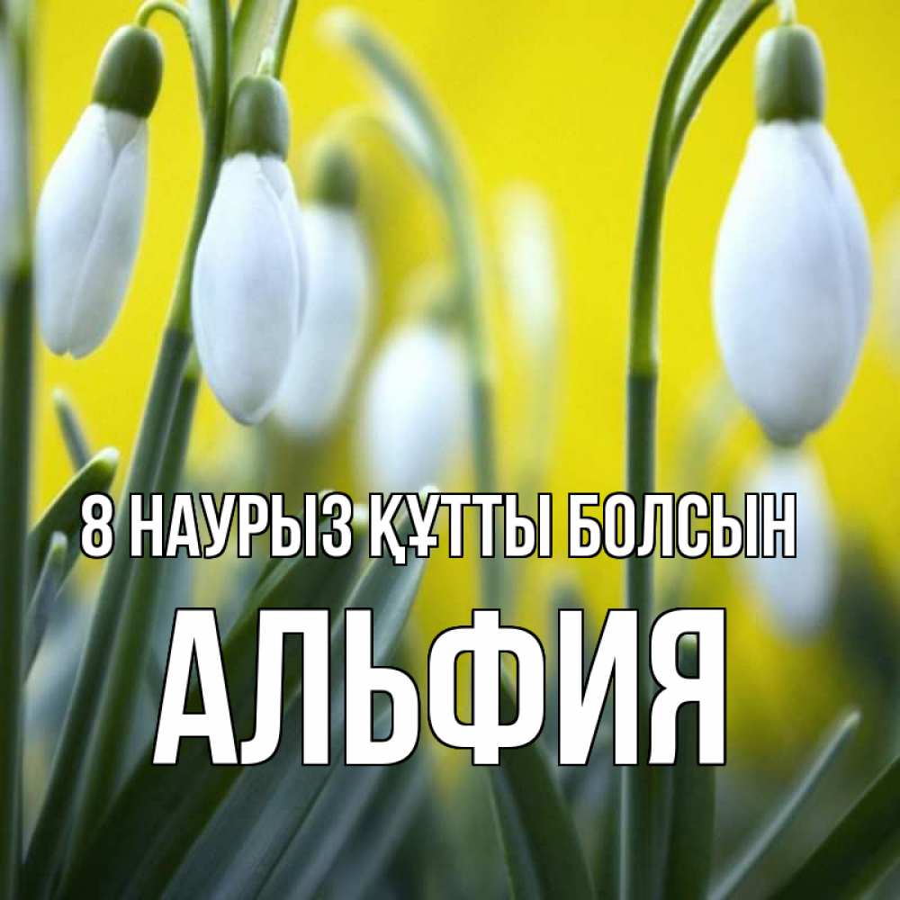 Күн сайын ашық хат с именем, Альфия 8 наурыз құтты болсын весенние цветы Онлайн тегін жүктеп алу тілектері бар керемет карта 