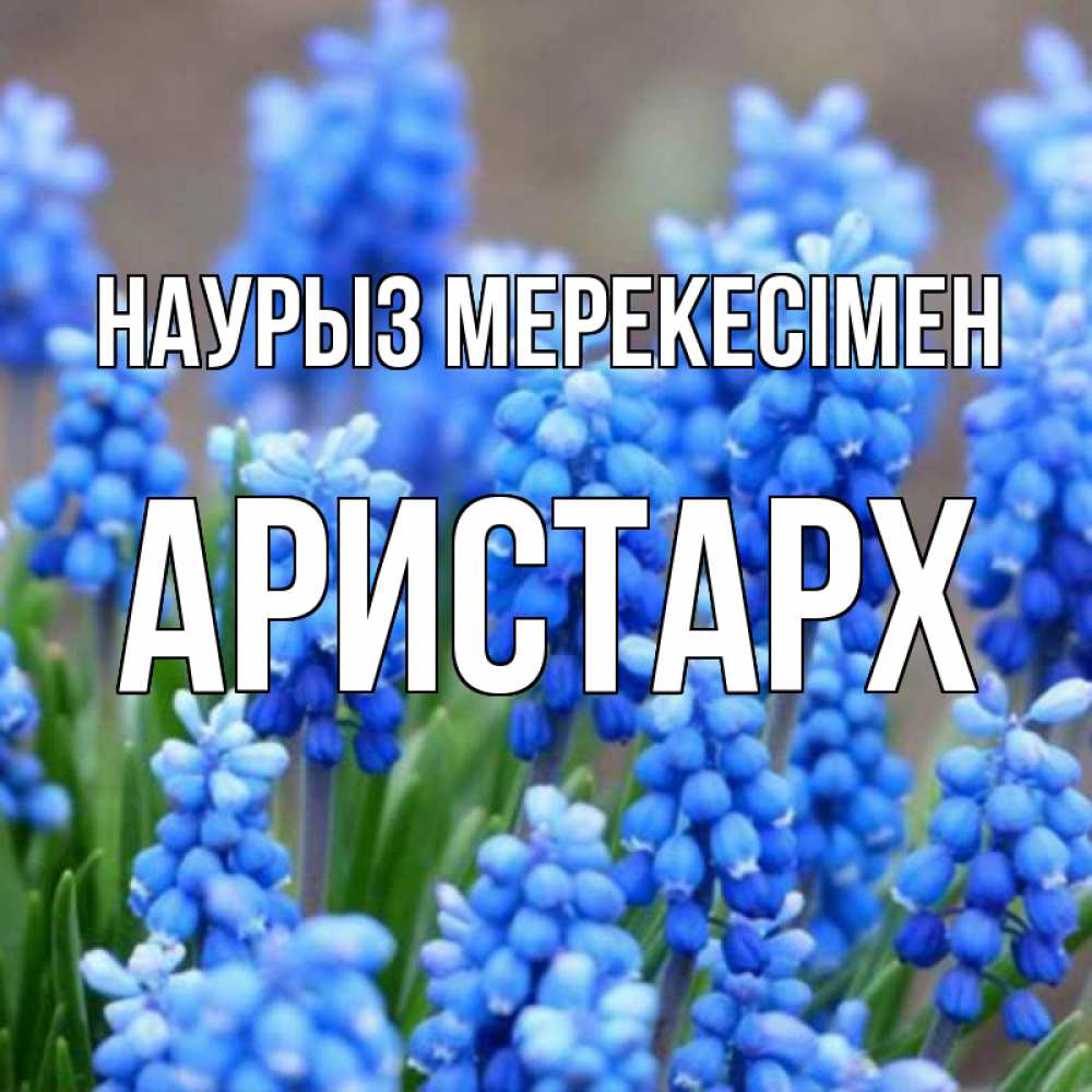Күн сайын ашық хат с именем, Аристарх Наурыз мерекесімен Поздравительная открытка для женщин с цветами на праздничную дату Онлайн тегін жүктеп алу тілектері бар керемет карта 