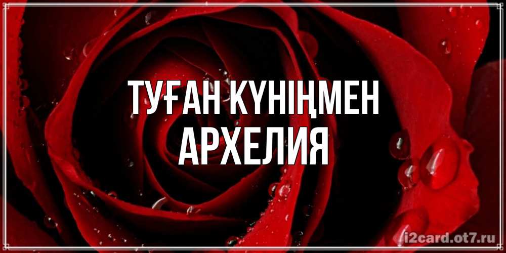 Күн сайын ашық хат с именем, Архелия Туған күніңмен крупная бордовая роза Онлайн тегін жүктеп алу тілектері бар керемет карта 