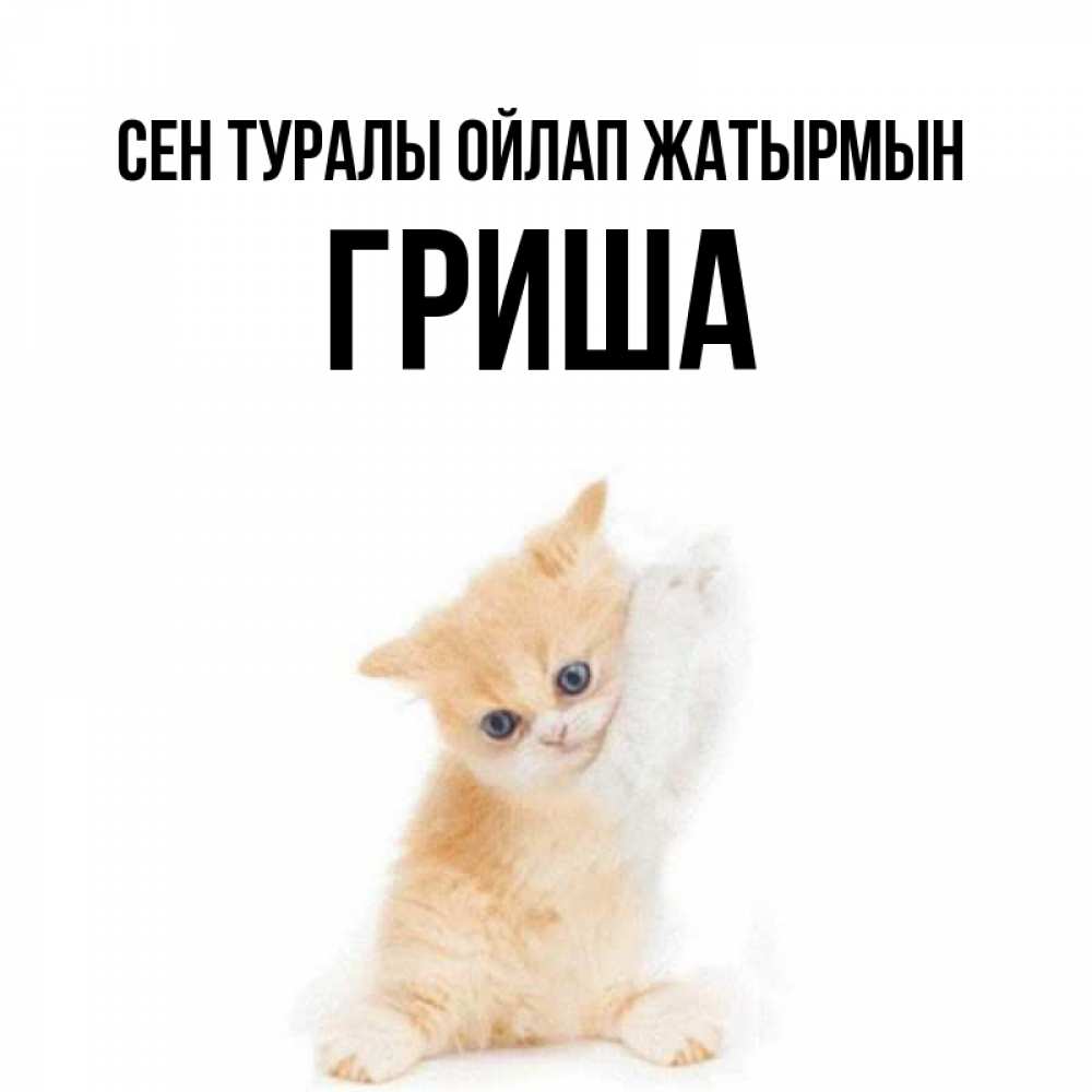 Күн сайын ашық хат с именем, Гриша Сен туралы ойлап жатырмын зверушки и милота Онлайн тегін жүктеп алу тілектері бар керемет карта 
