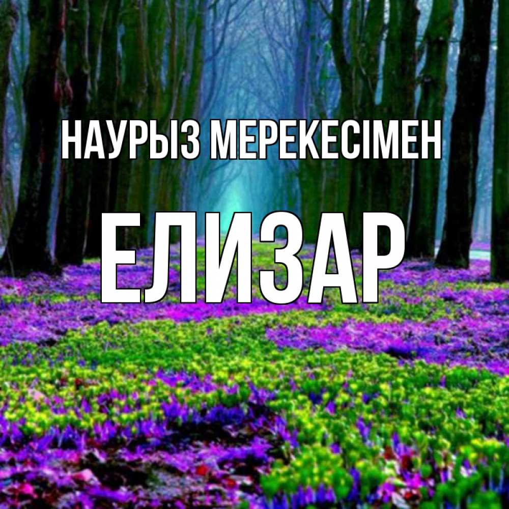 Күн сайын ашық хат с именем, Елизар Наурыз мерекесімен фиолетовые цветы в лесу 1 Онлайн тегін жүктеп алу тілектері бар керемет карта 