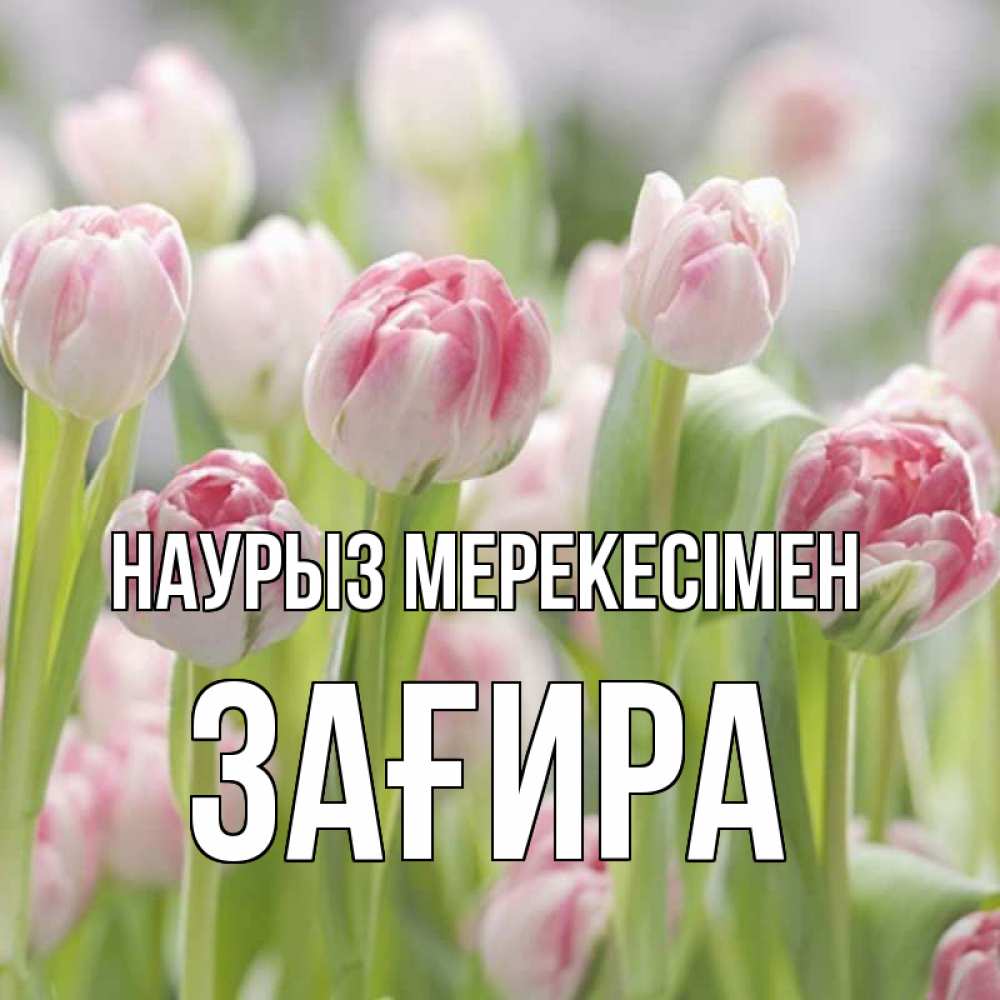 Күн сайын ашық хат с именем, ЗАҒИРА Наурыз мерекесімен цветы Онлайн тегін жүктеп алу тілектері бар керемет карта 