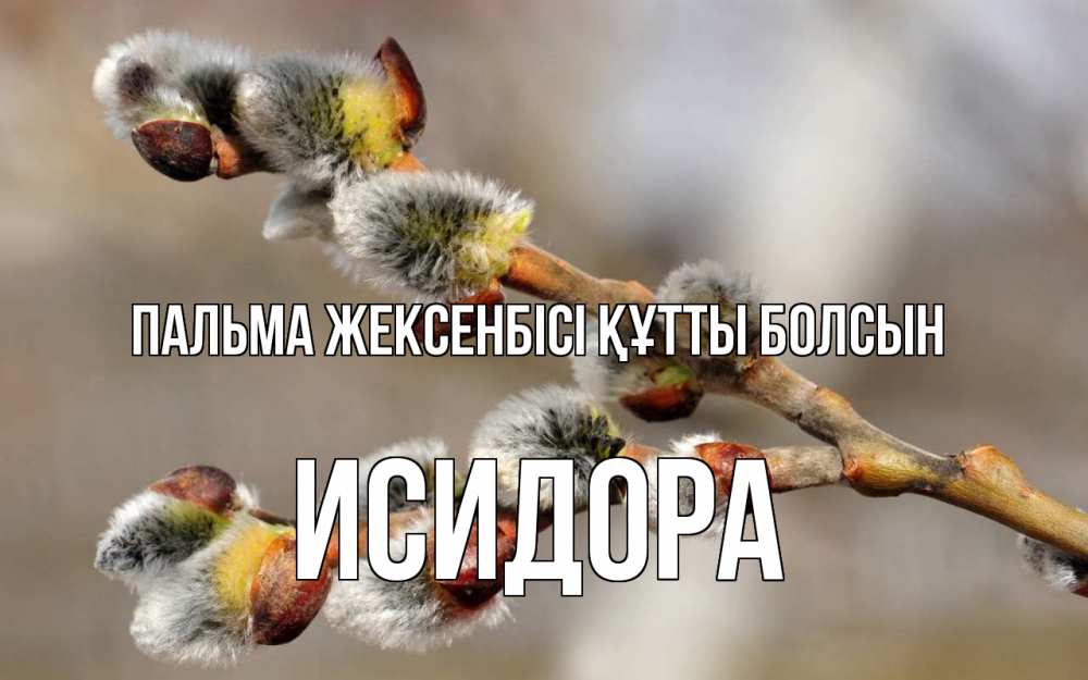 Күн сайын ашық хат с именем, Исидора Пальма жексенбісі құтты болсын Верба Онлайн тегін жүктеп алу тілектері бар керемет карта 