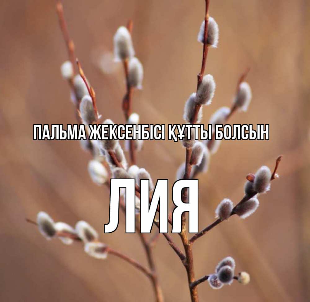 Күн сайын ашық хат с именем, Лия Пальма жексенбісі құтты болсын верба Онлайн тегін жүктеп алу тілектері бар керемет карта 