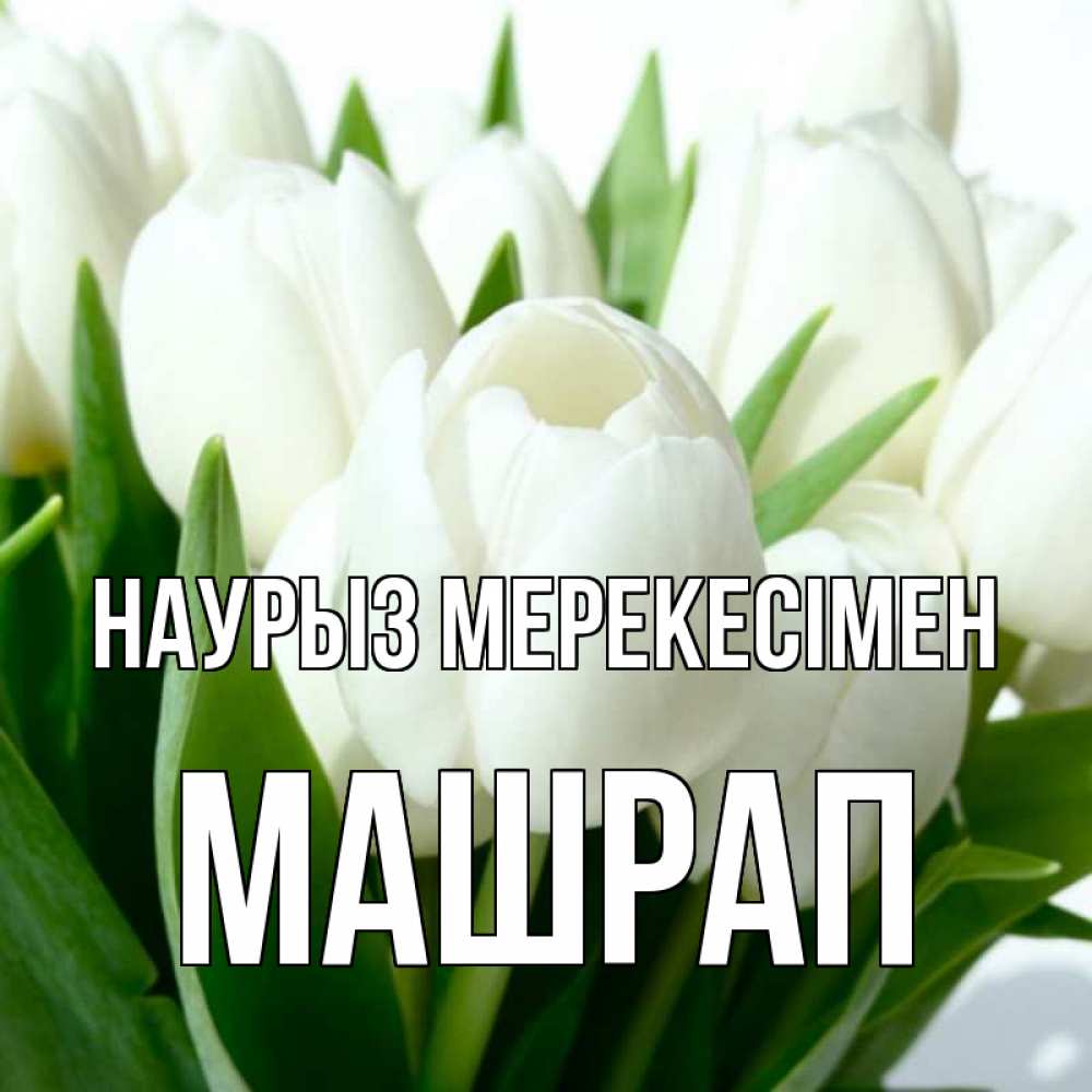 Күн сайын ашық хат с именем, МАШРАП Наурыз мерекесімен цветы Онлайн тегін жүктеп алу тілектері бар керемет карта 