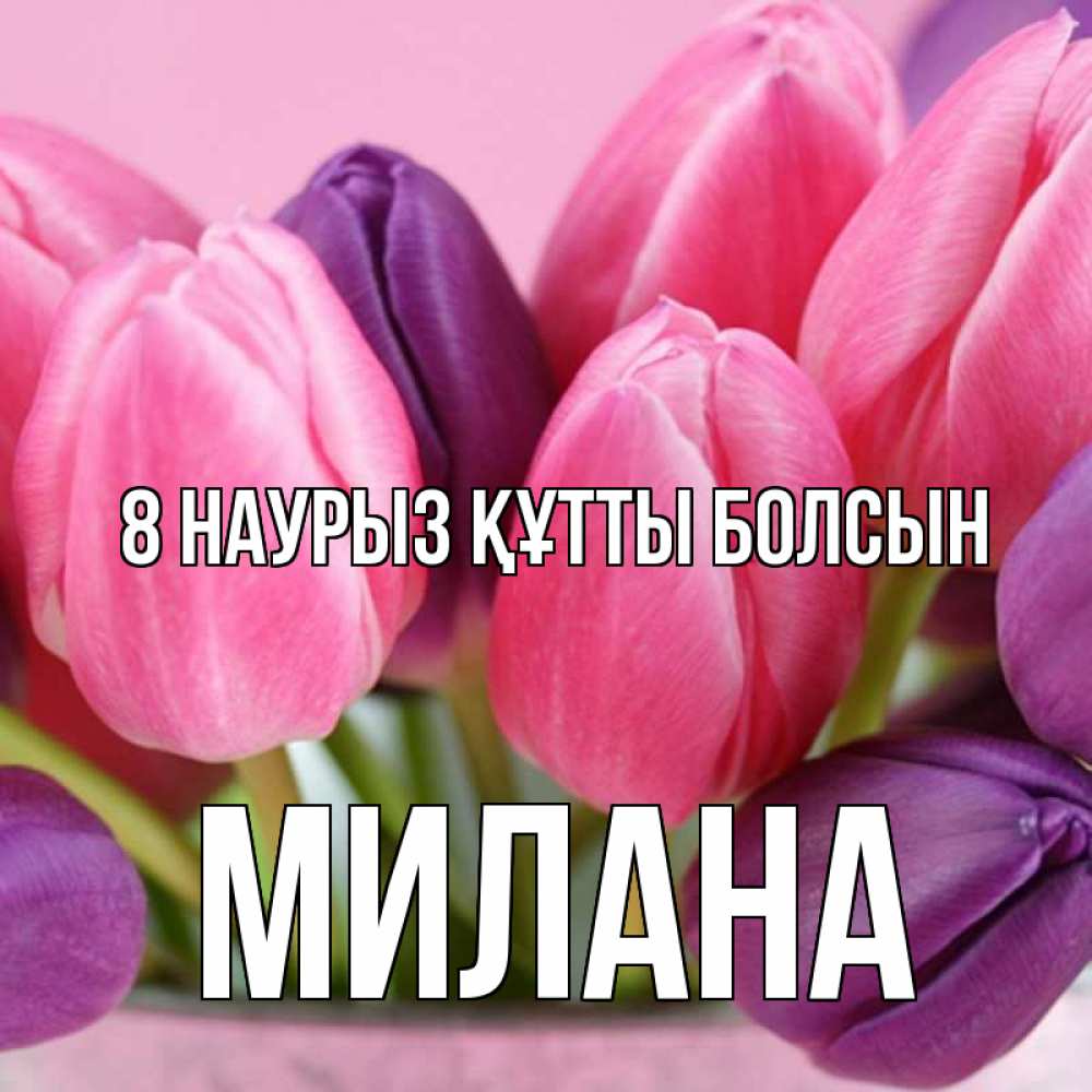 Күн сайын ашық хат с именем, Милана 8 наурыз құтты болсын маме 1 Онлайн тегін жүктеп алу тілектері бар керемет карта 